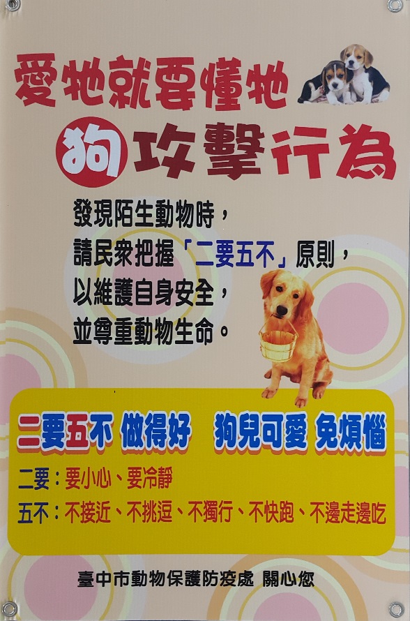 遇到流浪狗把握「二要五不」原则 维护自身安全